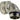 Other Image